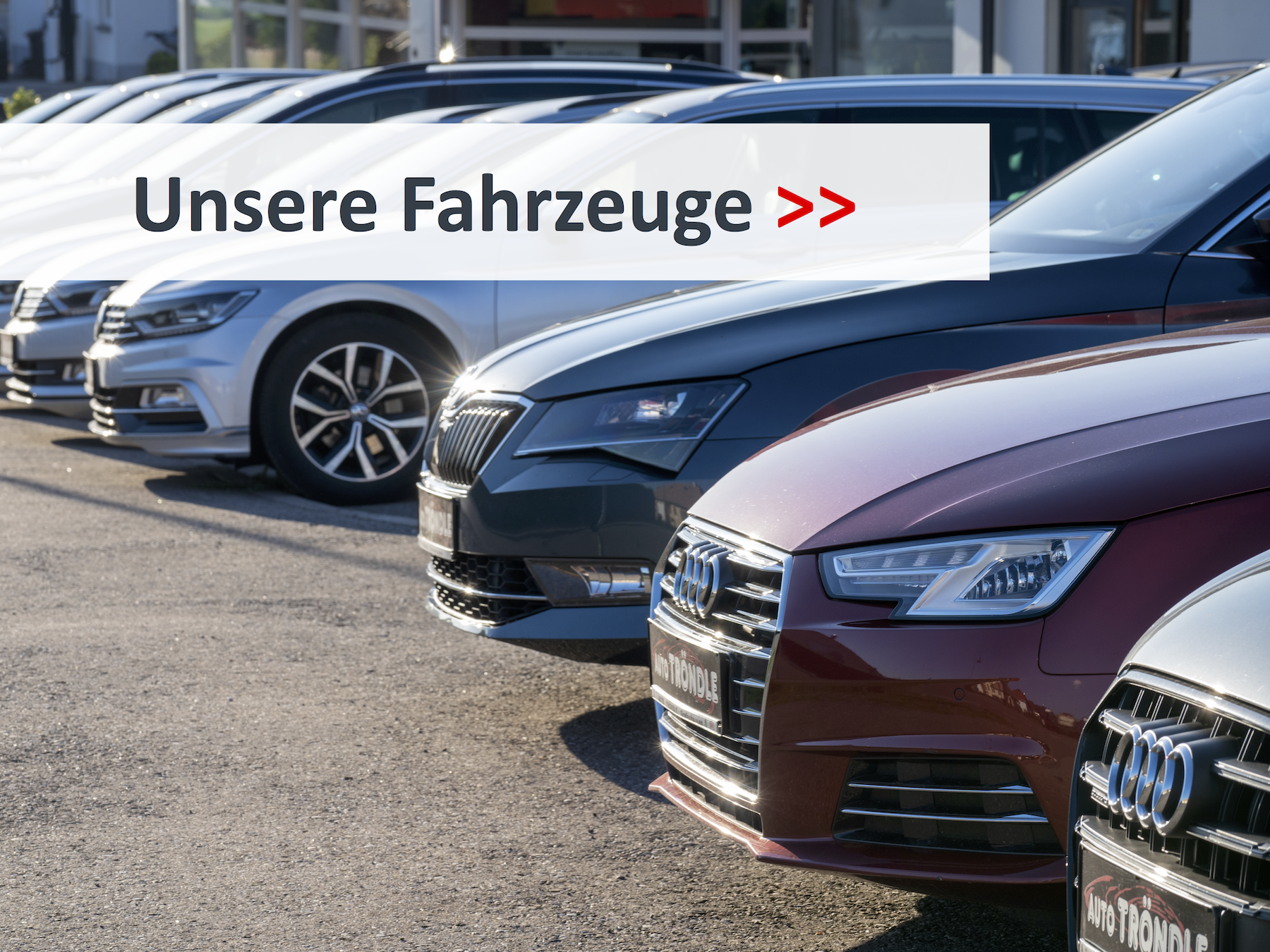 Unsere Fahrzeuge