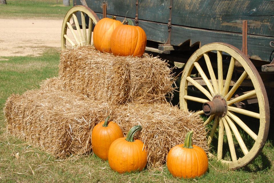 Pumpkin Patch Hay Ride