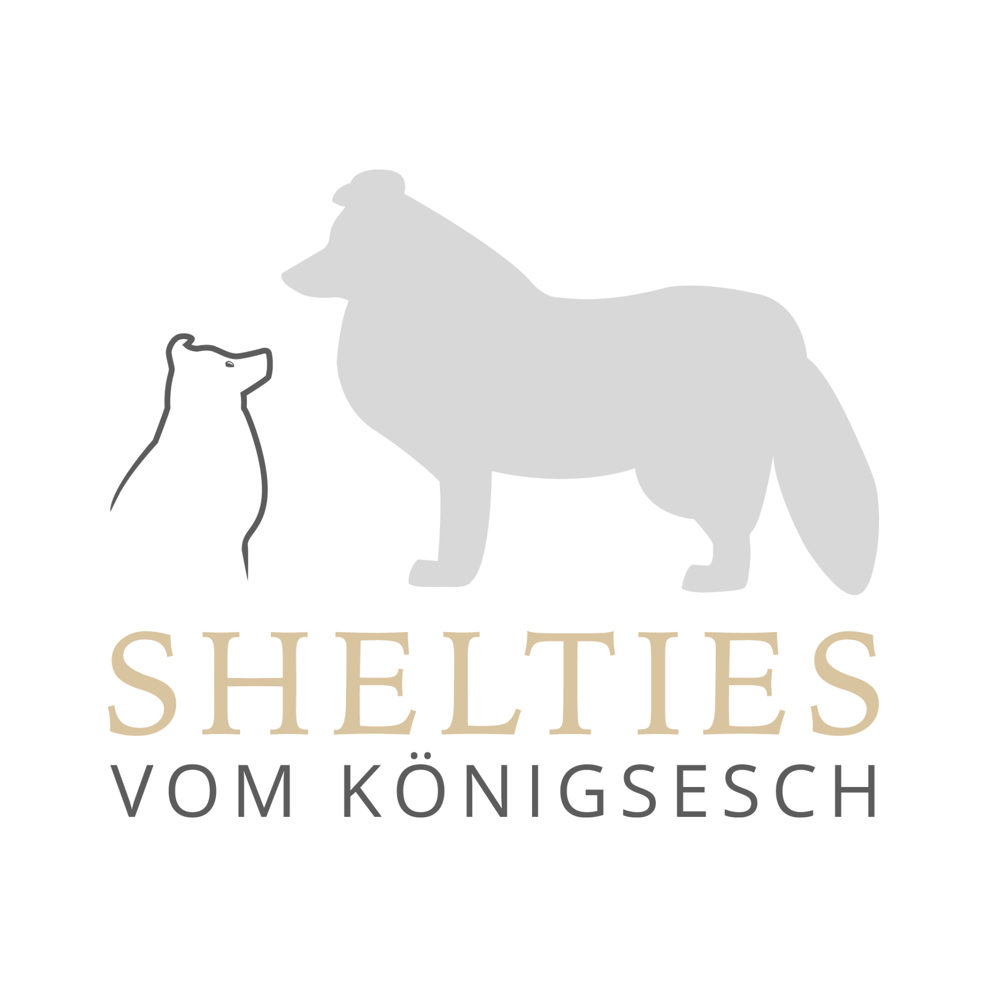 Shelties vom Königsesch