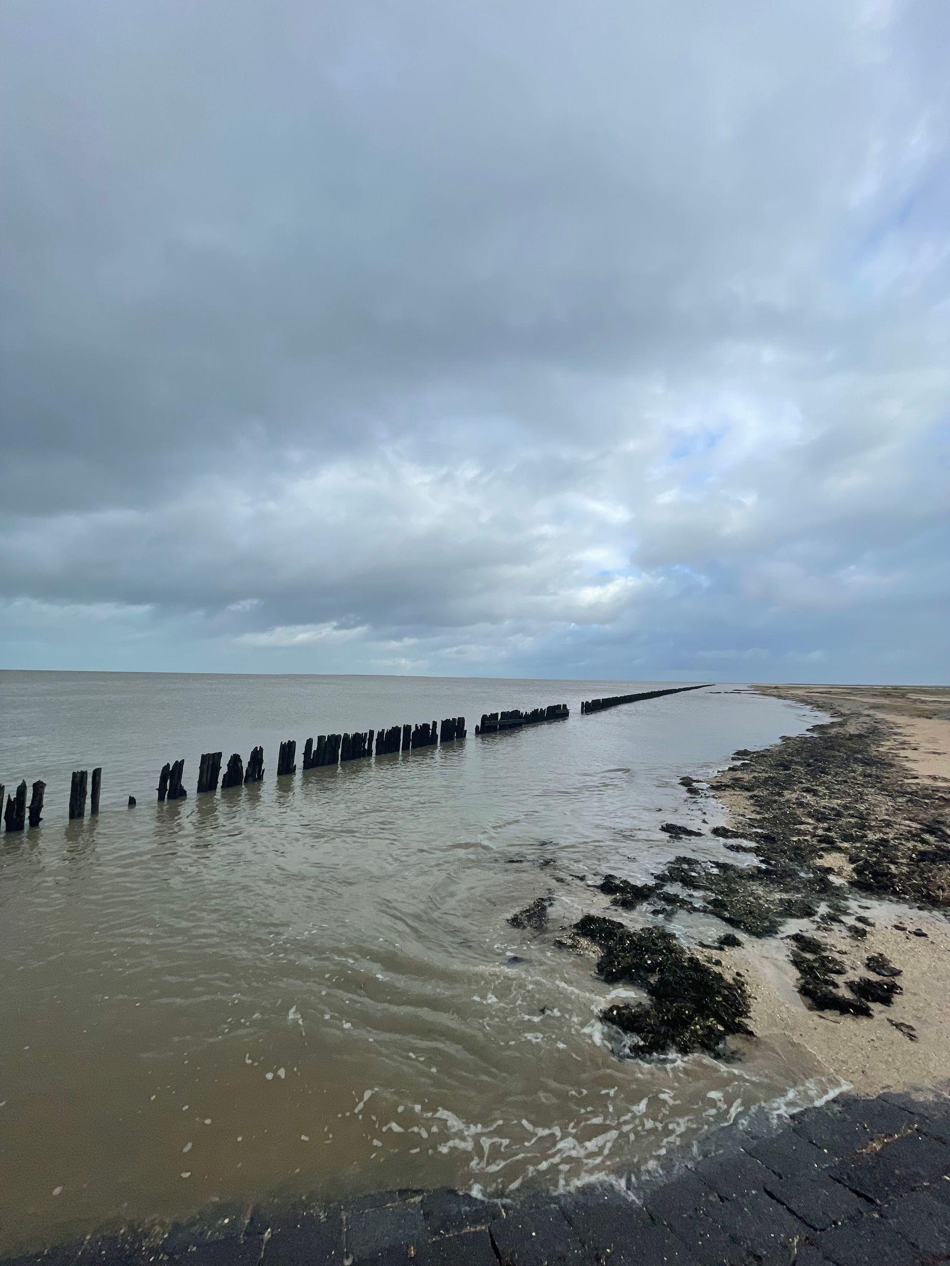 Wattenmeer