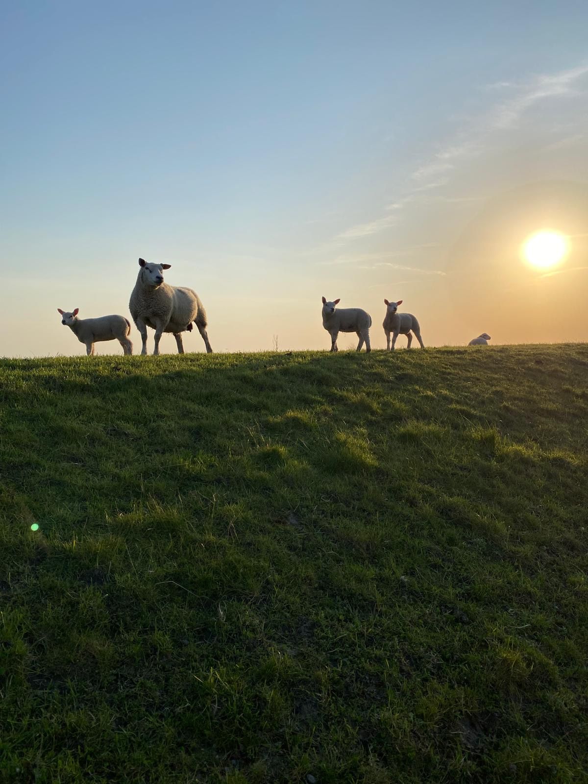 Hafen Ausfahrt bei Ebbe