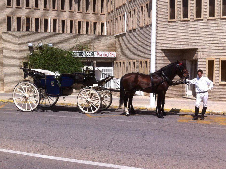 Alquiler de carruajes y caballos para eventos y celebraciones Alquiler de carruajes y caballos para eventos y celebraciones