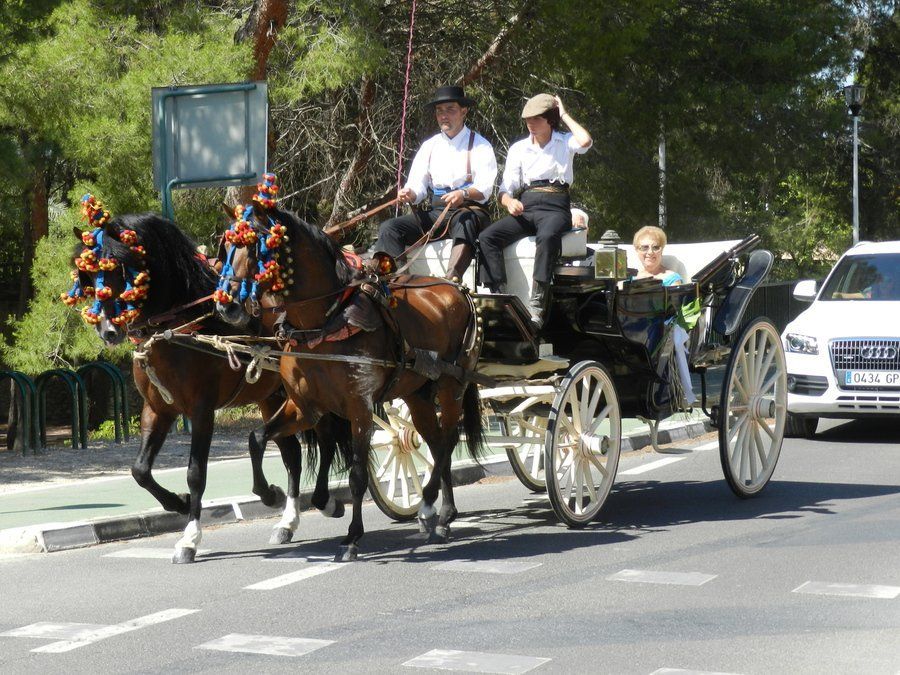 Alquiler de carruajes y caballos para eventos y celebraciones Alquiler de carruajes y caballos para eventos y celebraciones