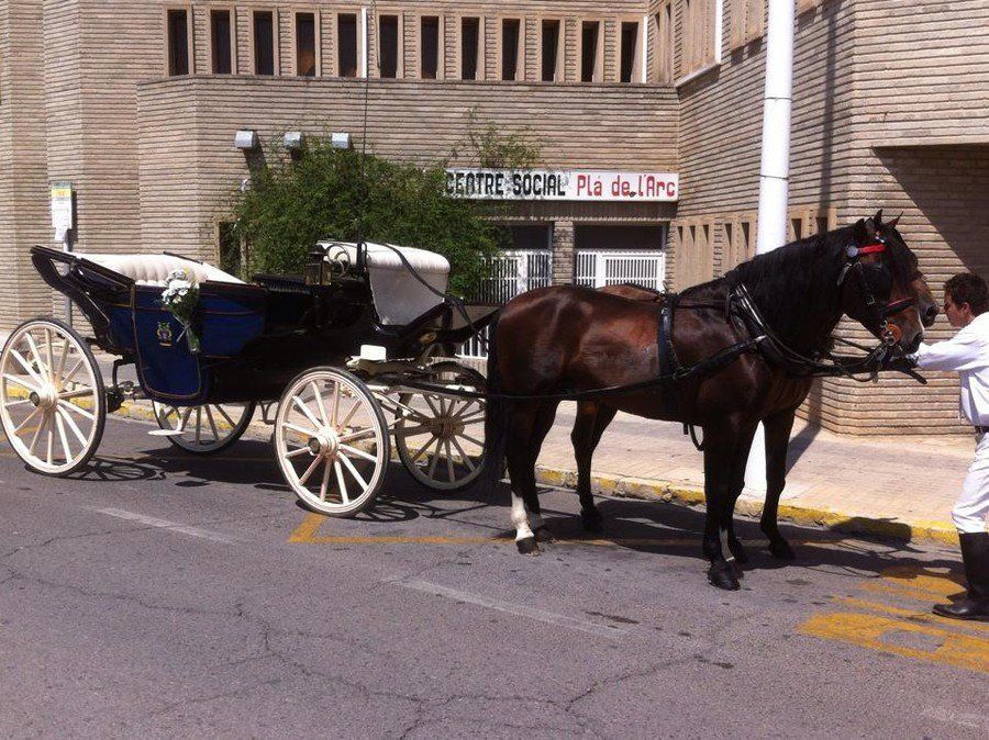 Alquiler de carruajes y caballos para eventos y celebraciones Alquiler de carruajes y caballos para eventos y celebraciones