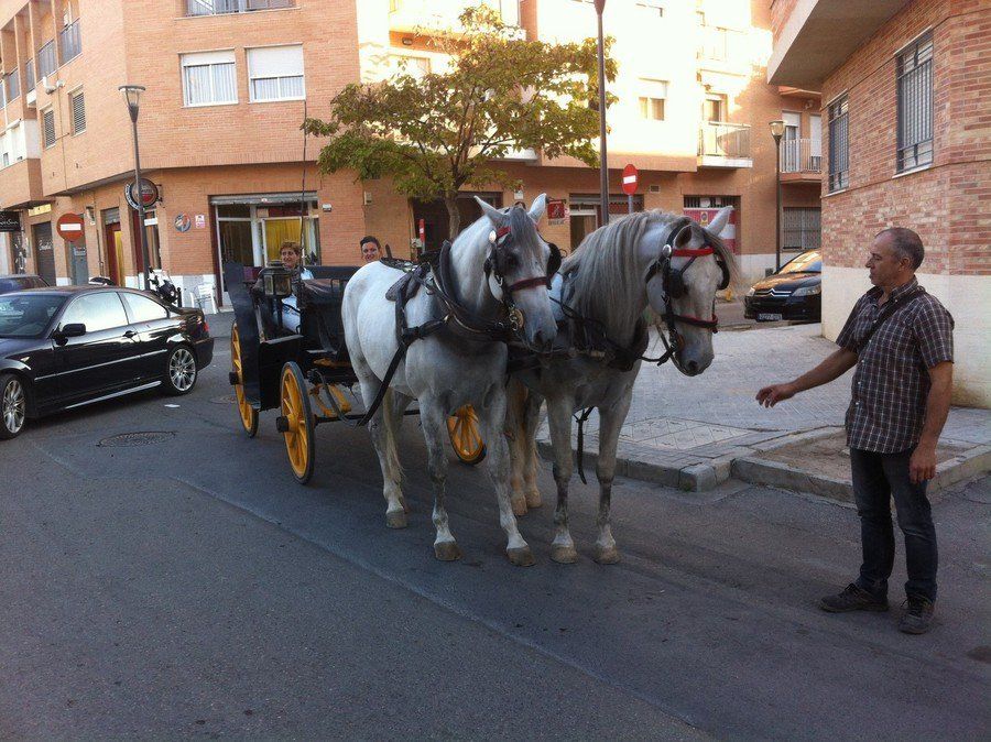 Alquiler de carruajes y caballos para eventos y celebraciones Alquiler de carruajes y caballos para eventos y celebraciones