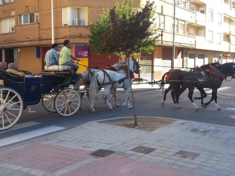 Alquiler de carruajes y caballos para eventos y celebraciones Alquiler de carruajes y caballos para eventos y celebraciones
