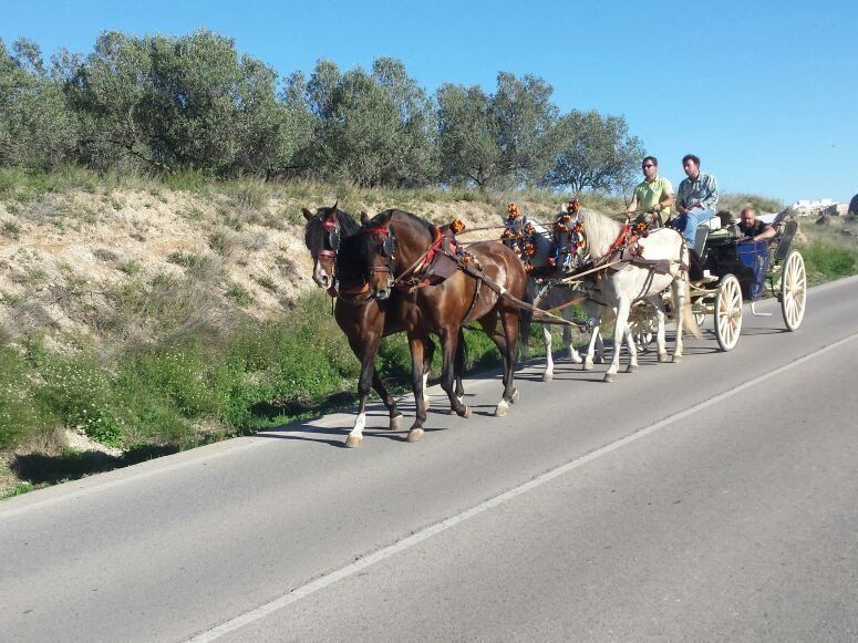 Alquiler de carruajes y caballos para eventos y celebraciones Alquiler de carruajes y caballos para eventos y celebraciones