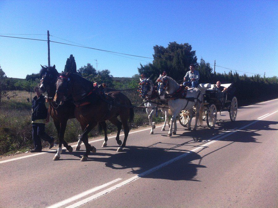 Alquiler de carruajes y caballos para eventos y celebraciones