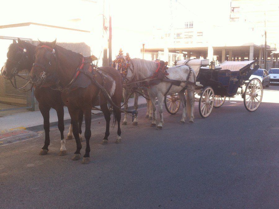 Alquiler de carruajes y caballos para eventos y celebraciones Alquiler de carruajes y caballos para eventos y celebraciones