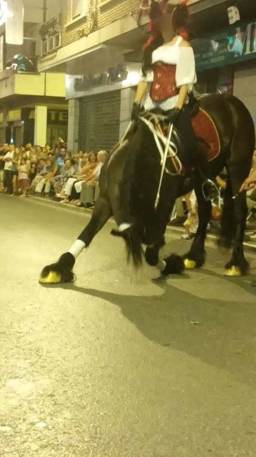 Cabalgatas de Moros y Cristianos Cabalgatas de Moros y Cristianos
