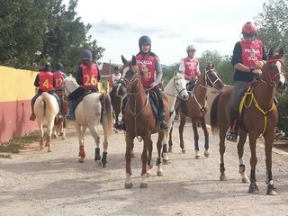 Concursos de Raid Concursos de Raid