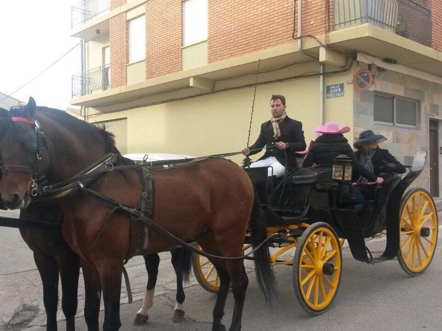 Despedidas de soltero/a Despedidas de soltero/a