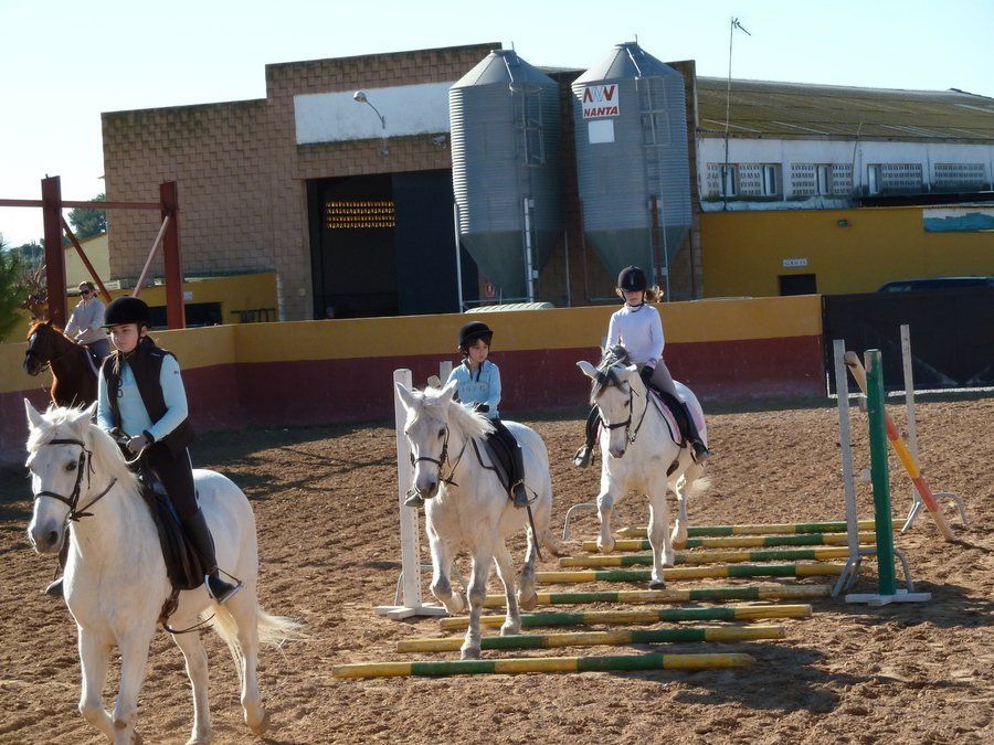 Escuela de equitación Escuela de equitación
