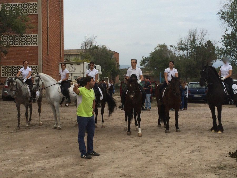 Espectáculos y exhibiciones Espectáculos y exhibiciones