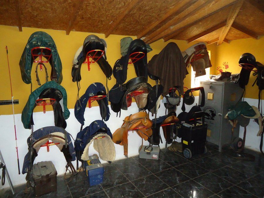 Guadarneses Guadarneses