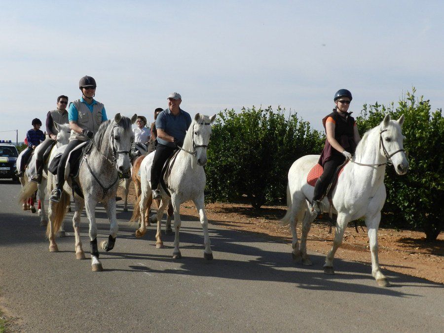 Itinerarios ecuestres Itinerarios ecuestres