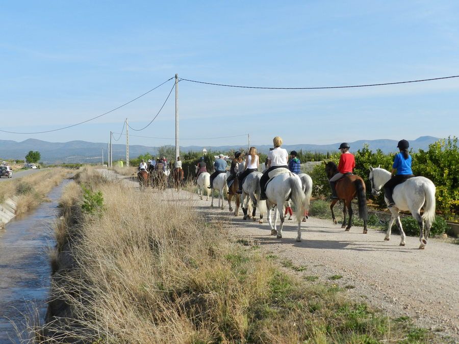 Itinerarios ecuestres Itinerarios ecuestres