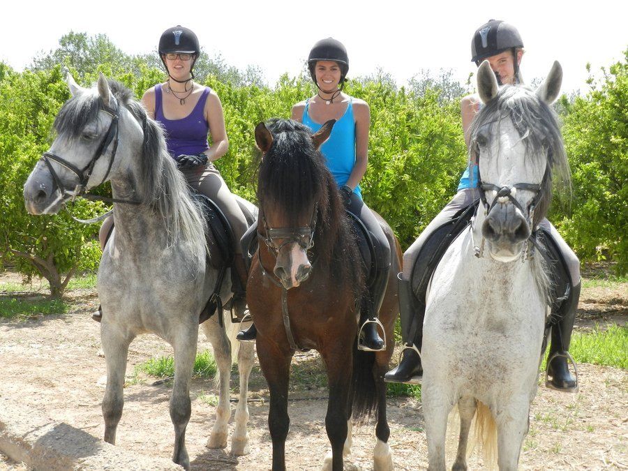 Paseos por el campo Paseos por el campo
