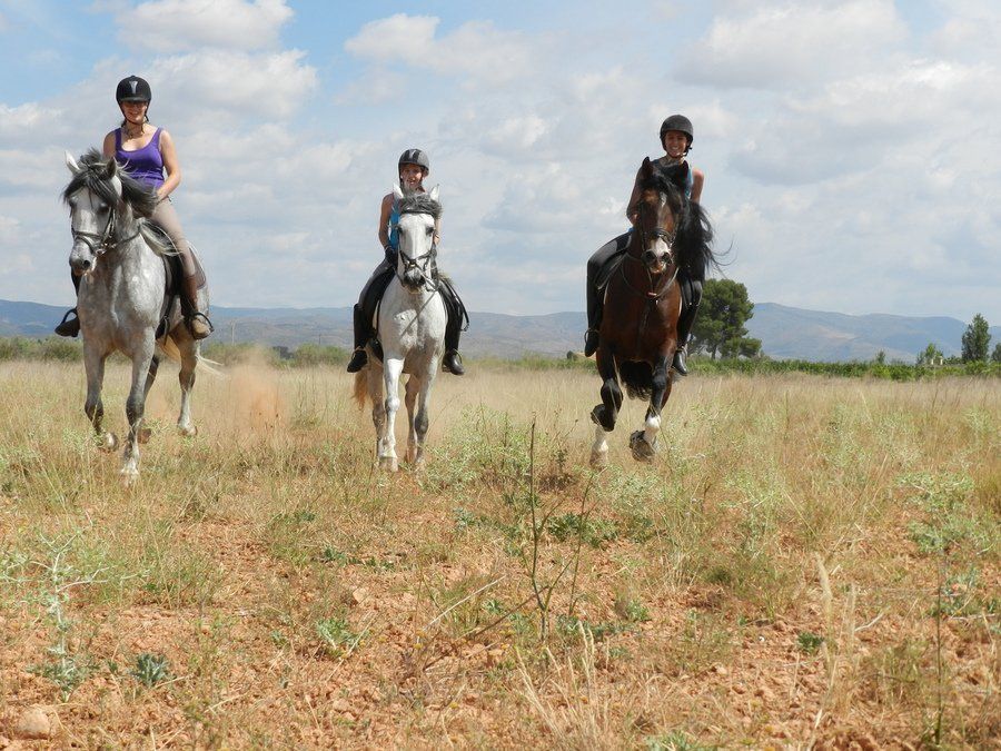 Paseos por el campo Paseos por el campo