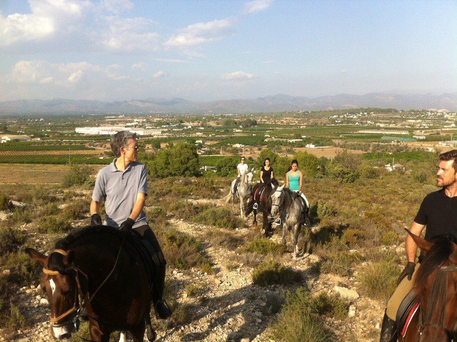 Paseos por el campo Paseos por el campo