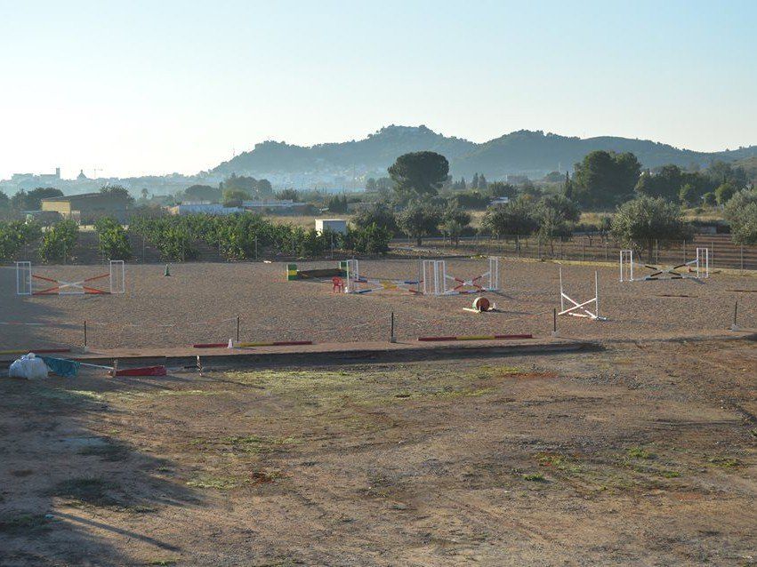 Pista de salto Pista de salto