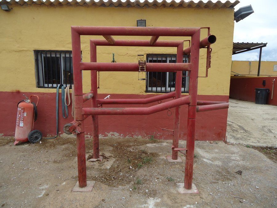 Potro de curas Potro de curas