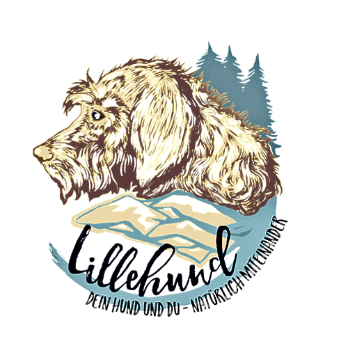 1 zu 1 Programm Date your dog by Lillehund