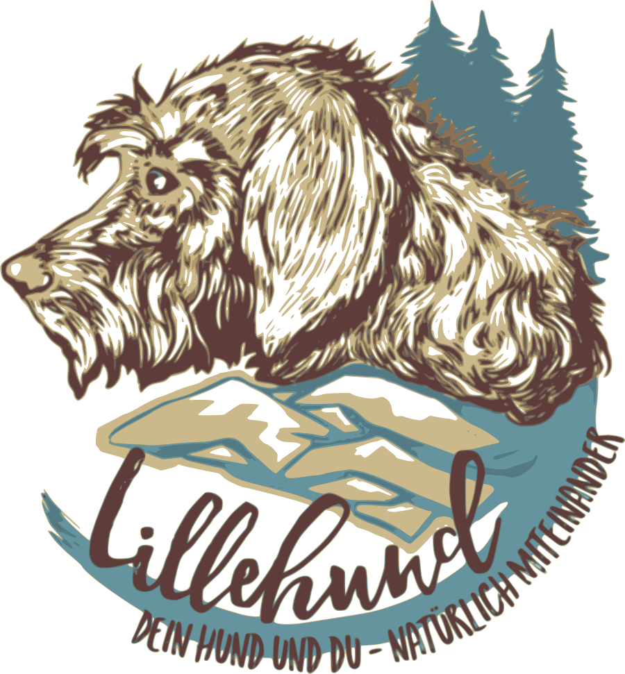Hundeschule Lillehund