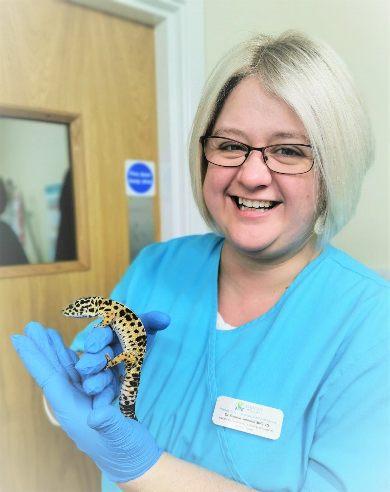 reptile vet near me