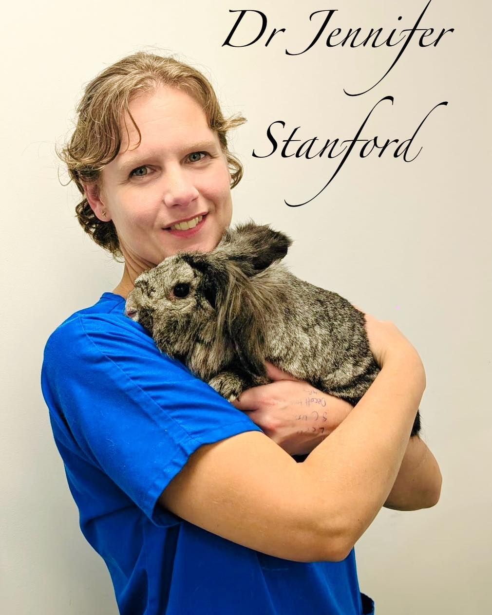 rabbit exotic vet near me