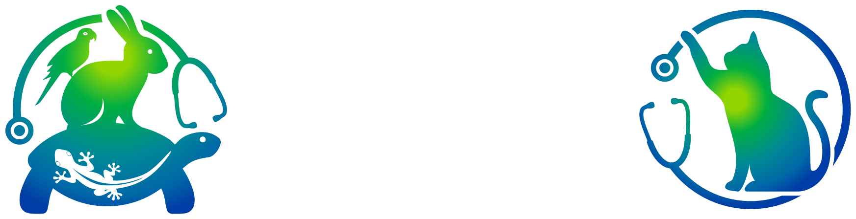 rabbit vet cardiff