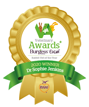 Rabbit vet of the year