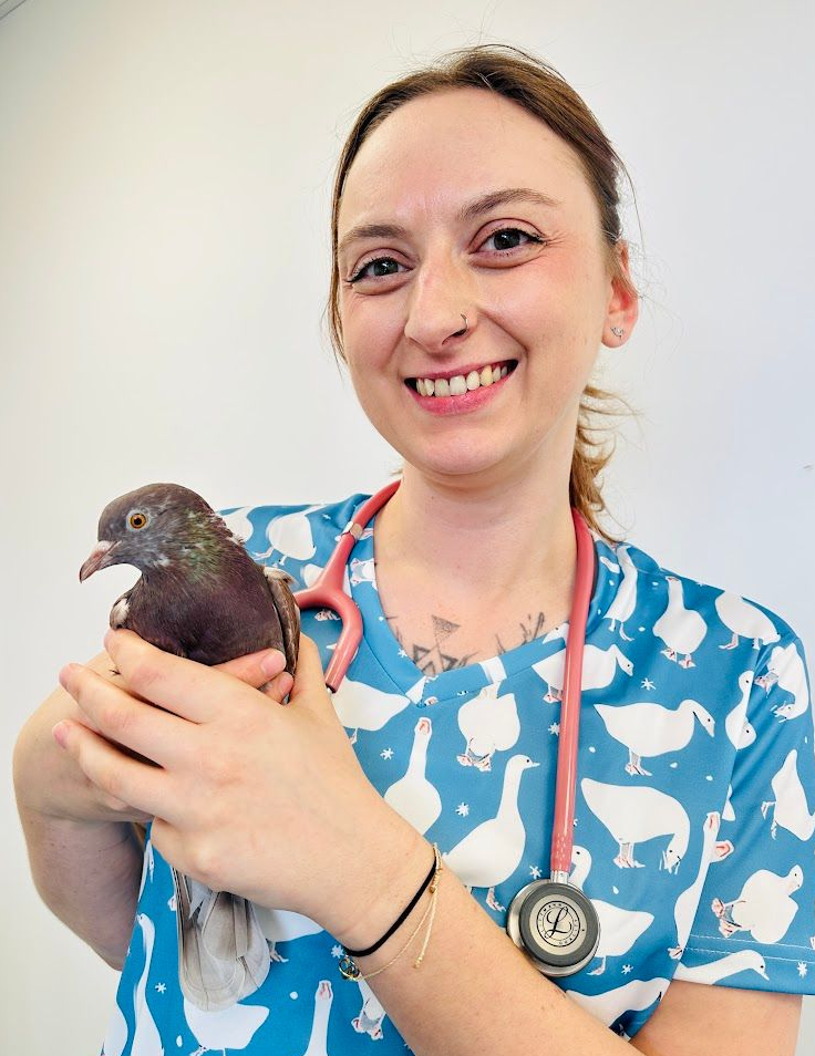 bird vet near me
exotic vet cardiff