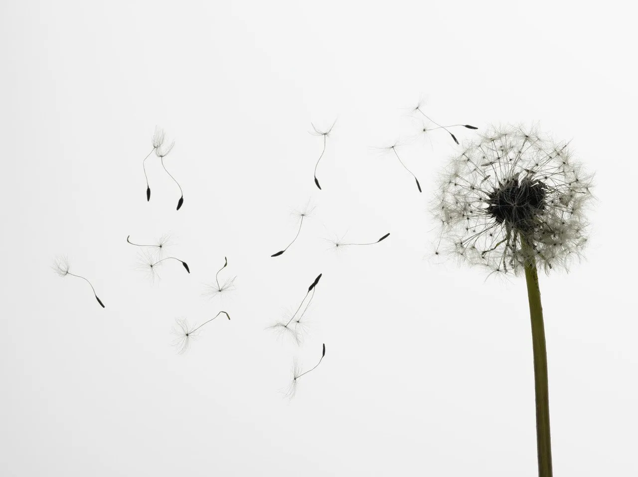 Meditation - innere Ruhe und Stille Meditation, Tübingen, Reutlingen, Rottenburg