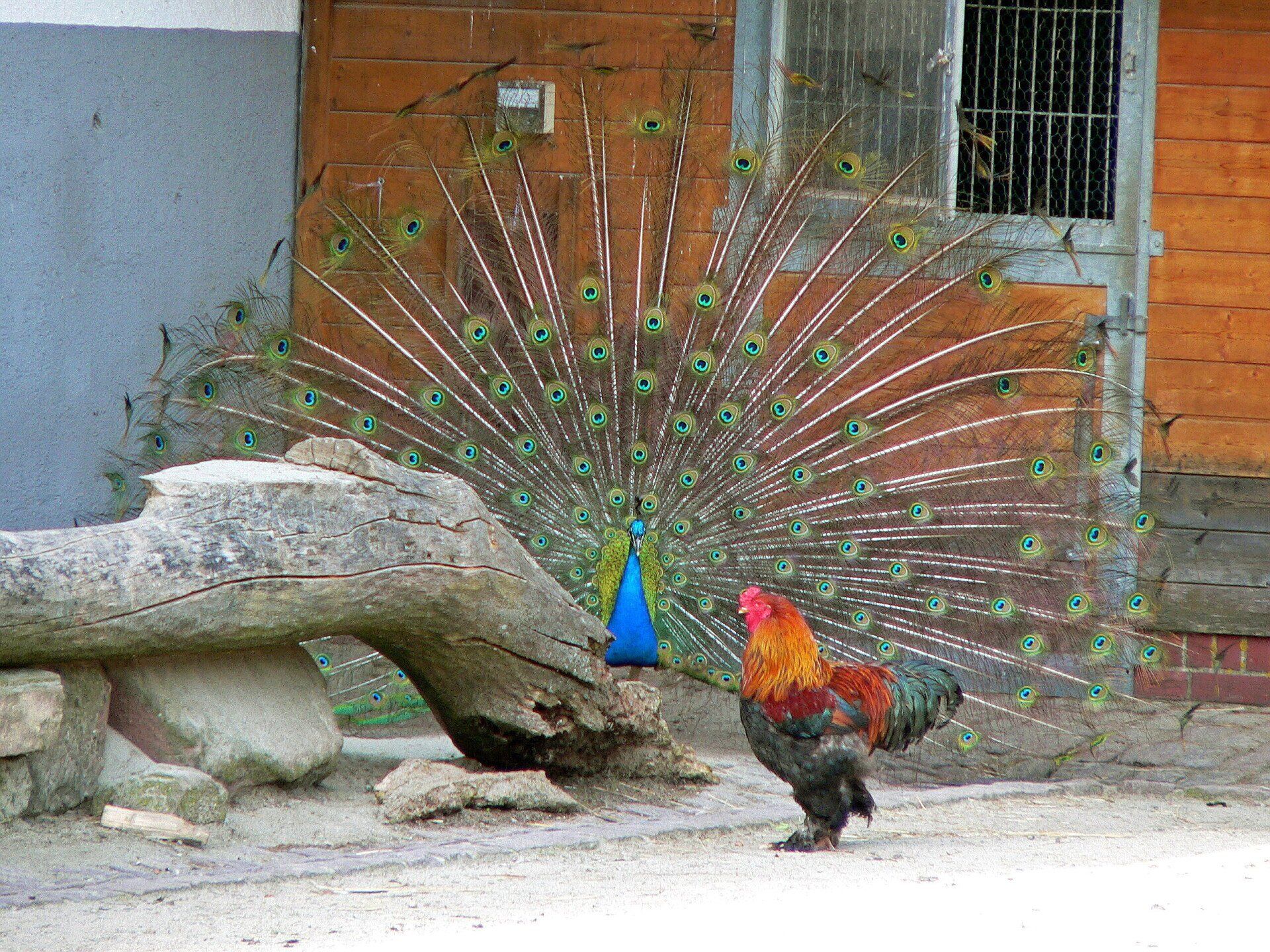 traumhaft schön... Imaginationstherapie, Tübingen, Reutlingen, Rottenburg