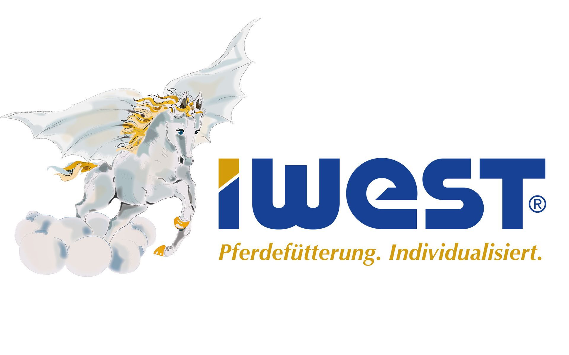 www.iwest.de