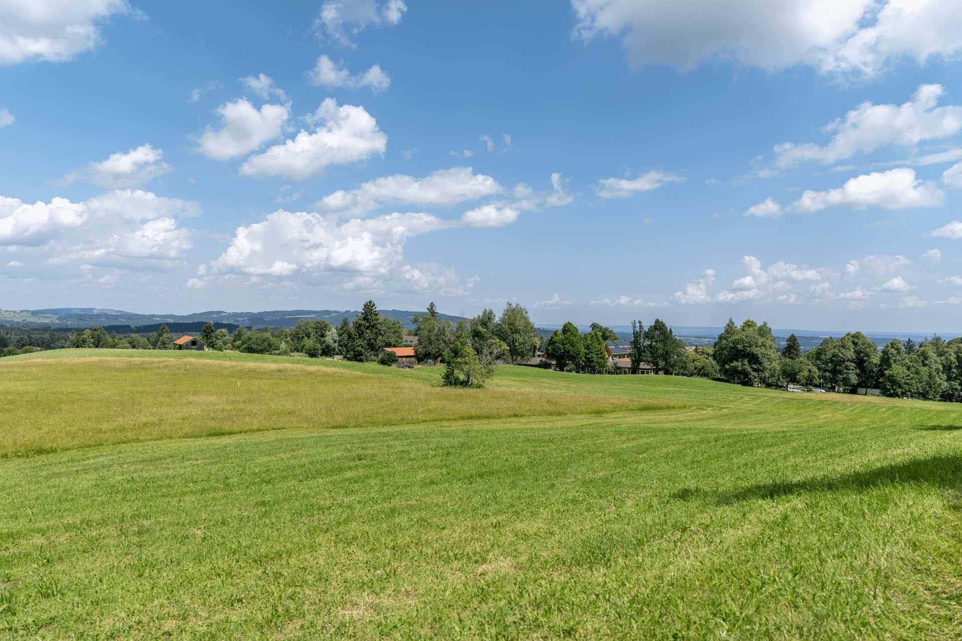 Wiese mit Bergblick in Bad Kohlgrub