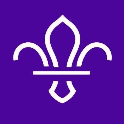  1st Alford Scout Group