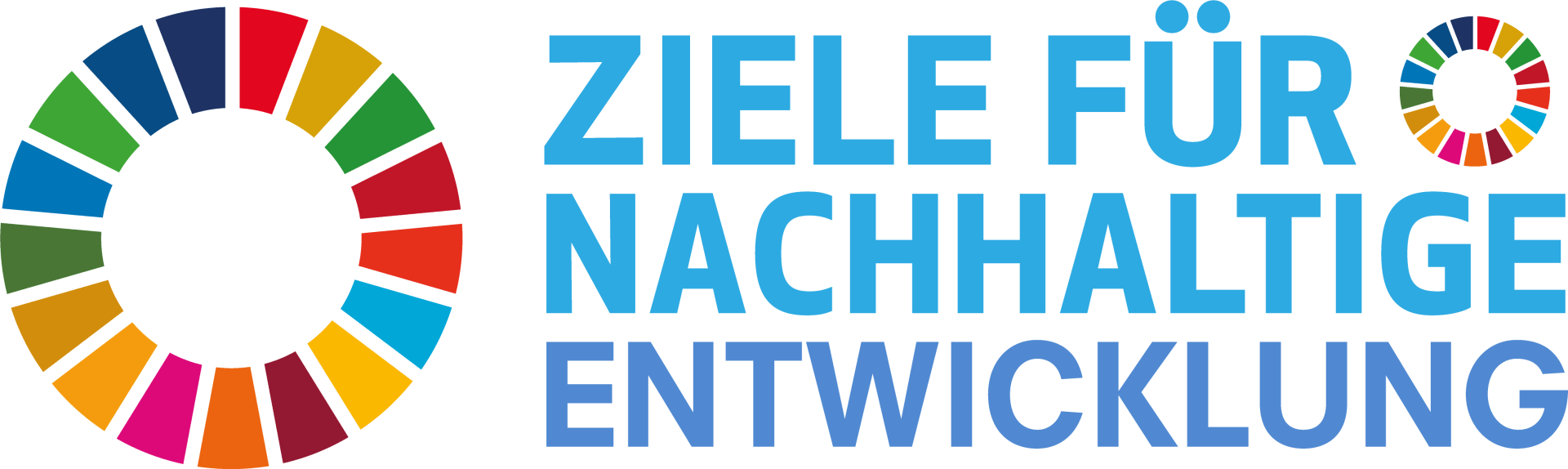 Buntes SDG Rad mit der Schrift