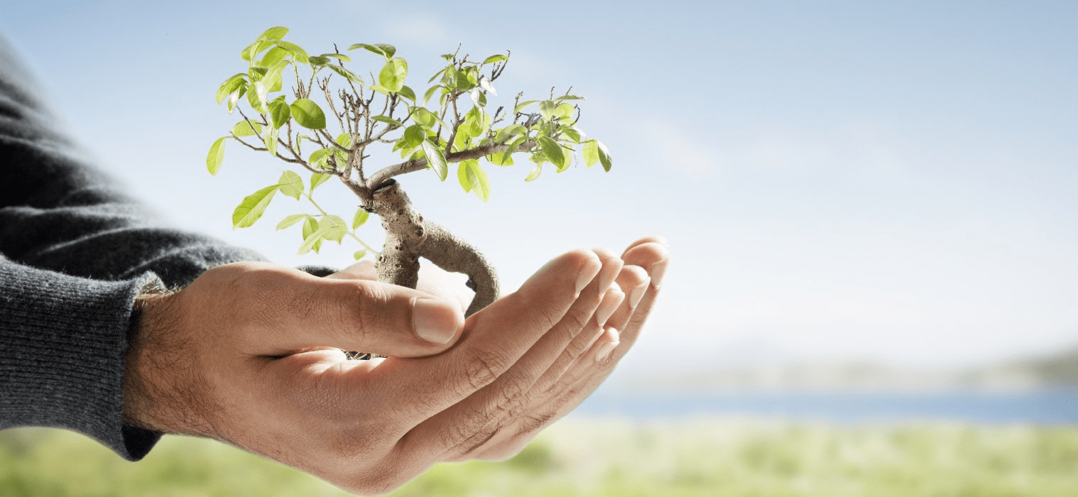 Coaching de vie - Pousse coaching-de-vie-pousse