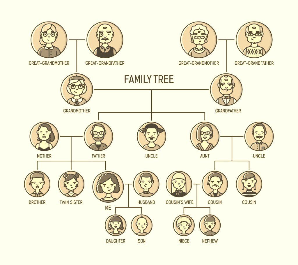 family tree, pedigree, family chart, family reports, documentation