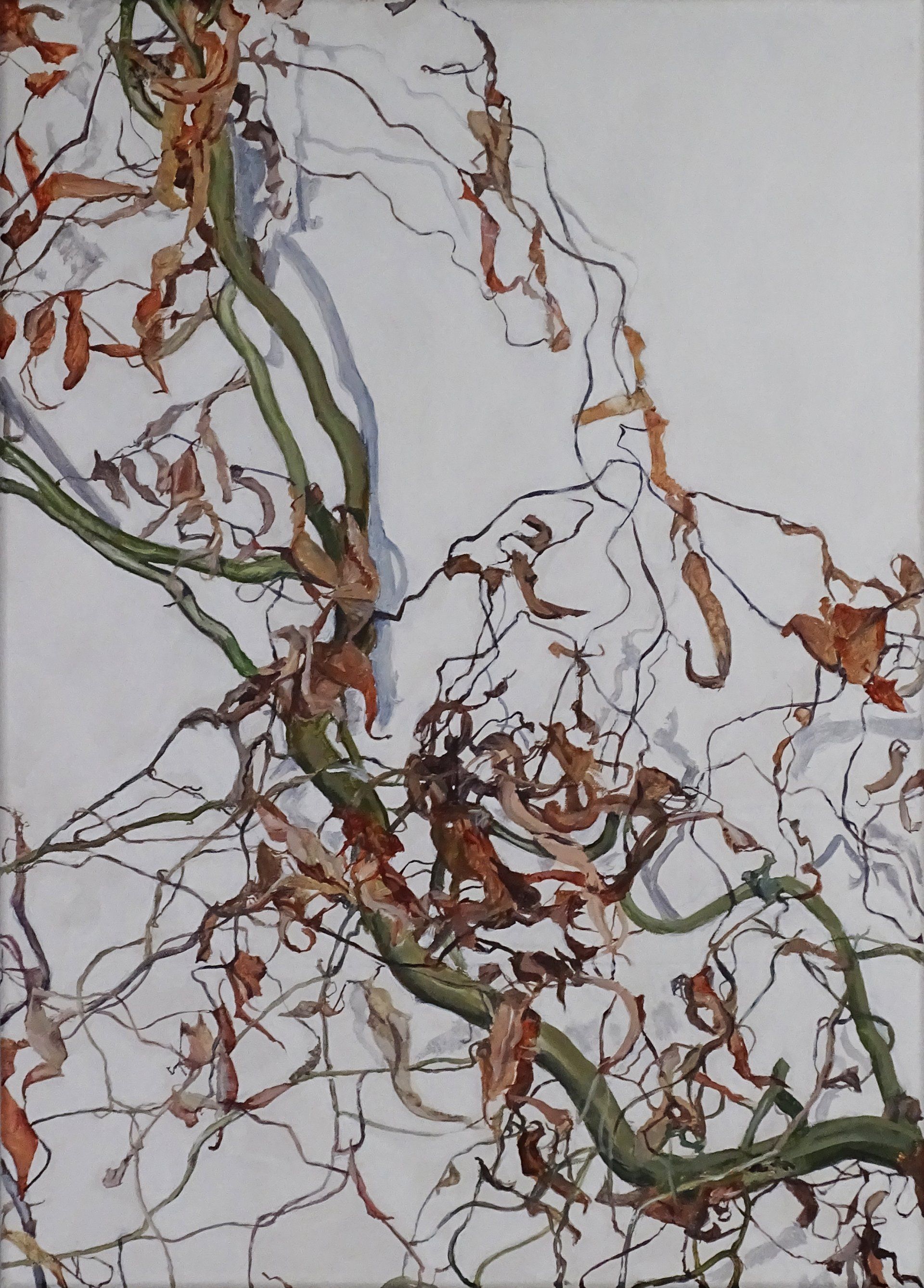Salix Tortuosa acrylic painting of willow branch