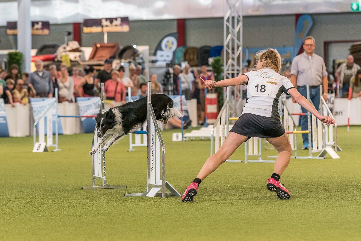 Eine Agility-Sportlerin lässt Ihren Hund während einer Vorführung über eine Hürde springen.