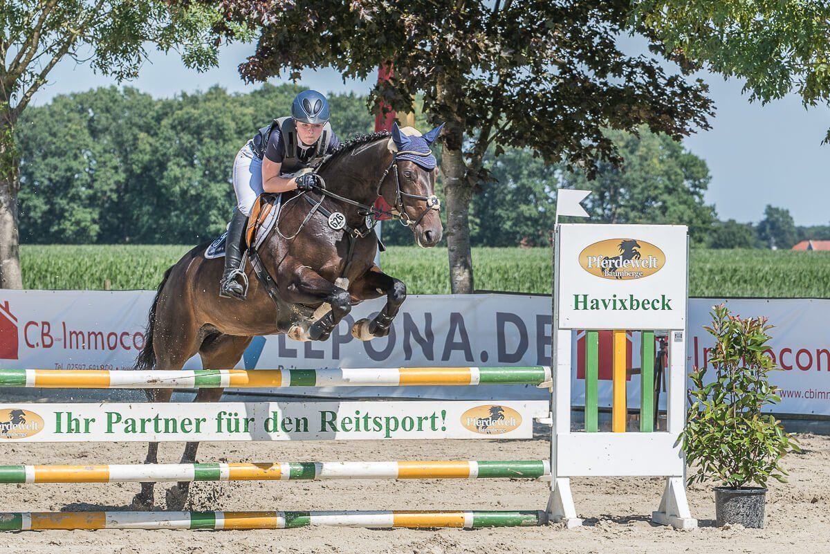 Eine Reiterin, die auf einem Reittuturnier in Münster mit ihrem Pferd über eine Hürde springt.