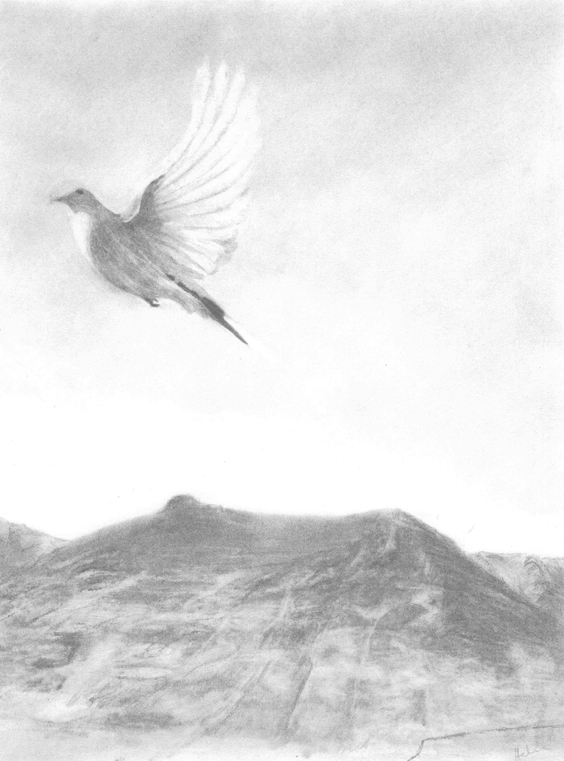 lake district art cumbria dove blencathra threlkeld sky graphite gallery graphite drawing
