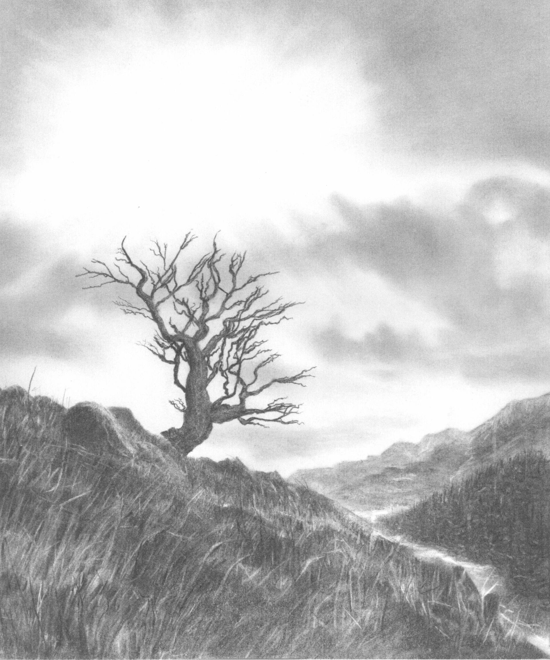 lake district art cumbria langdale tree sky landscape graphite gallery graphite charcoal drawing