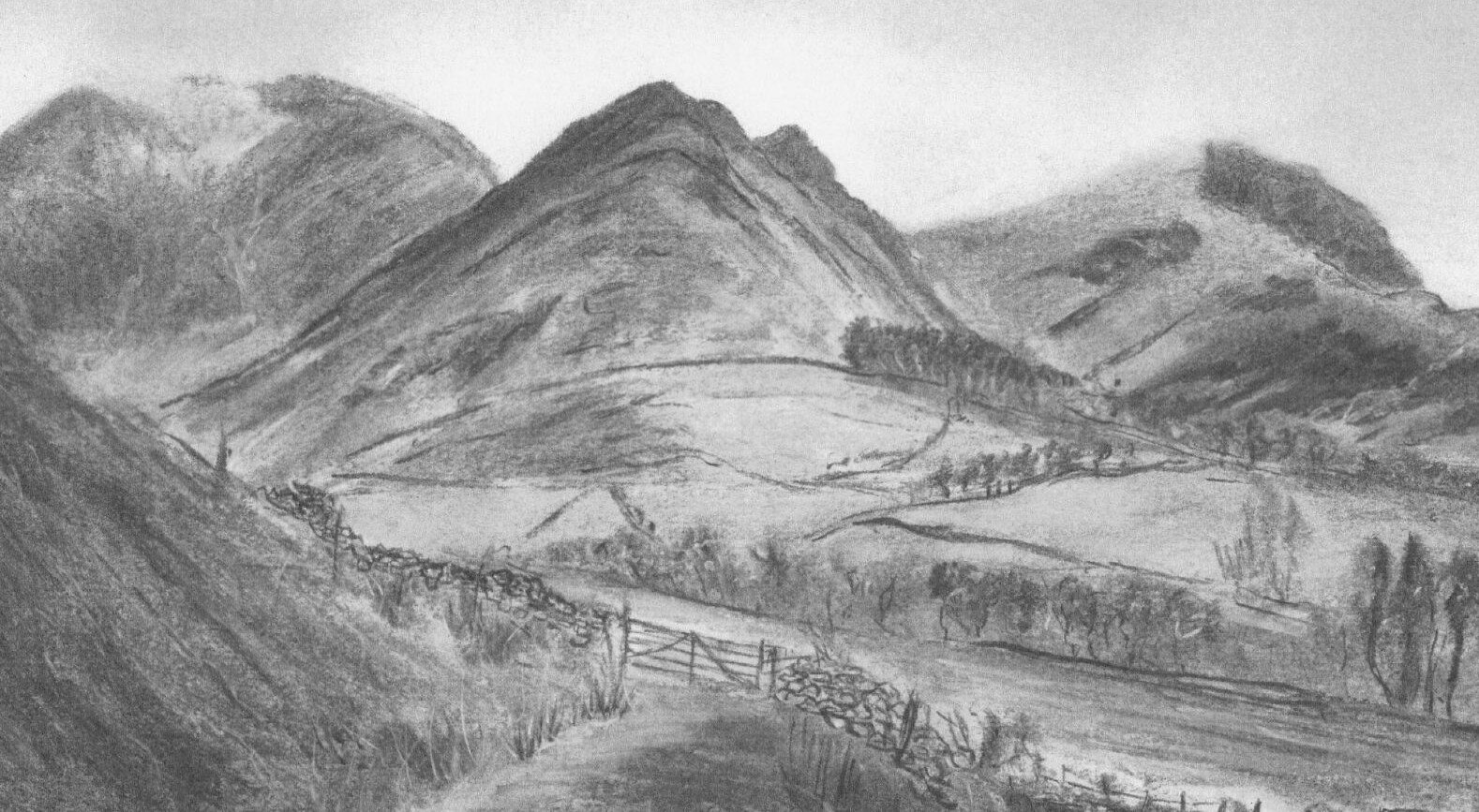lake district cumbria art graphite gallery newlands valley goldscope mine tree graphite charcoal