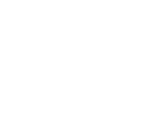 LOGO ILET DU LAGON