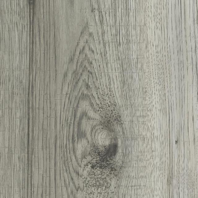 Hickory Carolina