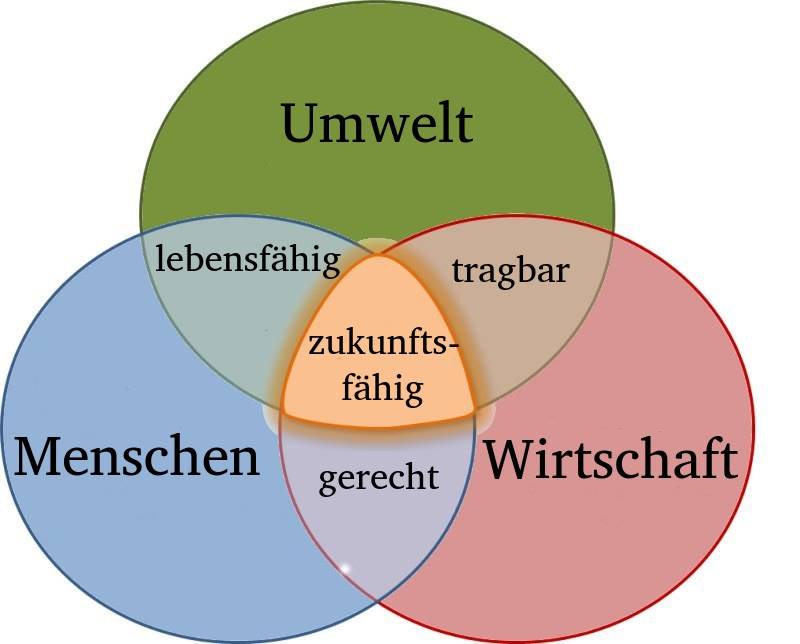 Zukunft Neu-Eichenberg, Land Schafft Zukunft, Mehrwerte, Acker, regenerative Landwirtschaft